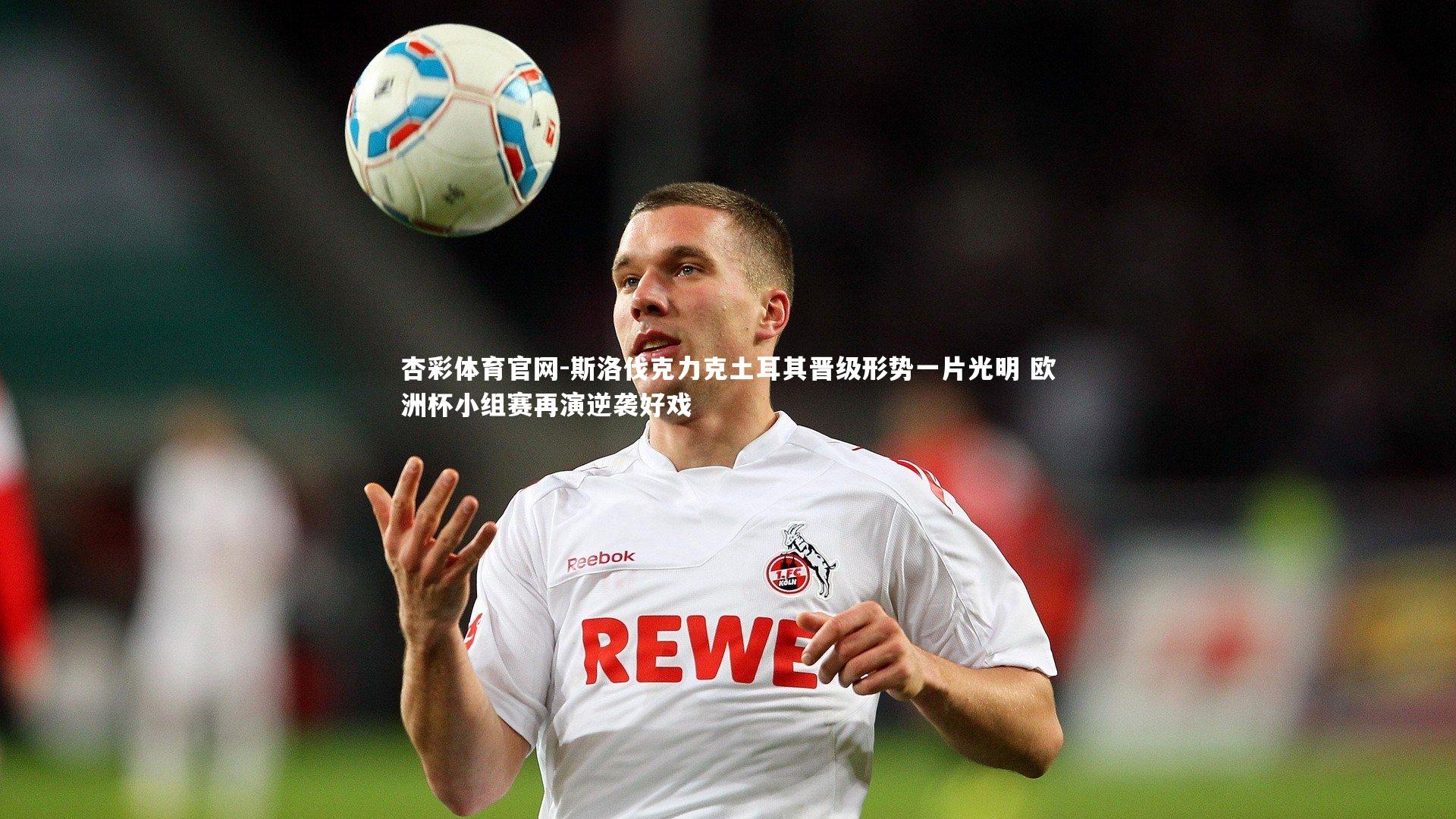 斯洛伐克力克土耳其晋级形势一片光明 欧洲杯小组赛再演逆袭好戏