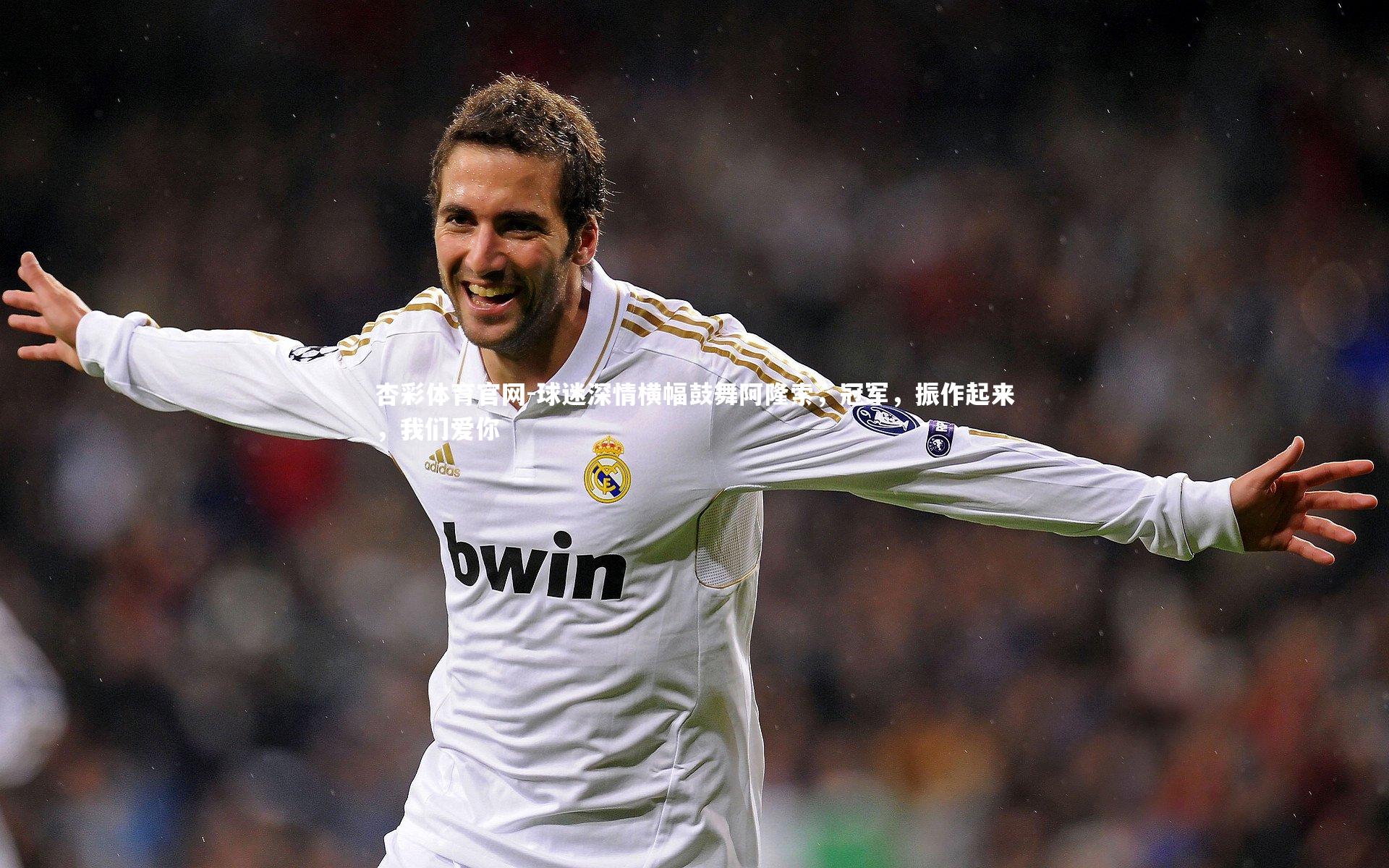 杏彩体育官网-球迷深情横幅鼓舞阿隆索，冠军，振作起来，我们爱你